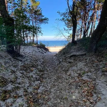 Pinea Apartmán *