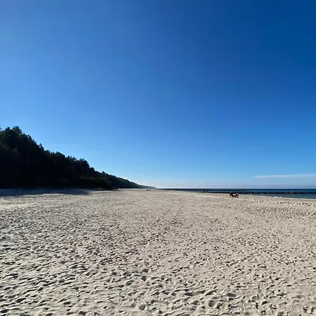 Apartmán Pinea