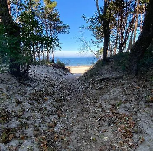 Pinea Appartamento *